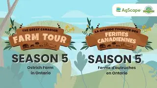 Grande tournée des fermes canadiennes Saison 5 : ferme d'autruches en Ontario