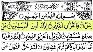 Surah Yasin (Yaseen) Full | سورۃ یس 🕌✨🕌🧡Surah Yasin Full | تلاوة رائعة لسورة يس | Beautiful Quran 🕌