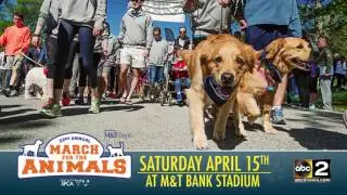 ABC2 News March for the Animals Promo