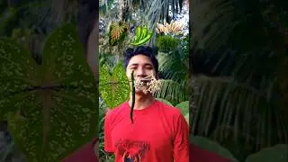 Food ASMR🍃🌶🫒 | Mouth Emoji Magic😲✨️ #shorts #reverse #food