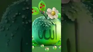 ..........         ...........      ...........#islamic #trading #vrialshort #video 🕋🕋🕋🕋🇸🇦🇸🇦🇸🇦🇸🇦🇸🇦