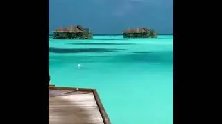 Maldives Island | Maldives Island Tour | Maldives Island Status | Maldives Island Video | TC