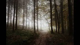 R. Schumann: Eintritt (Entry), from Waldszenen (Forest Scenes), Op. 82 no. 1