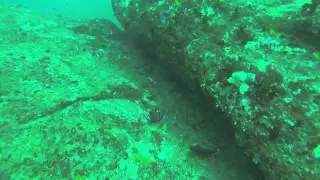 Diving with International Diving School