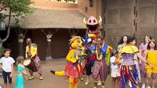 Timon’s matadance