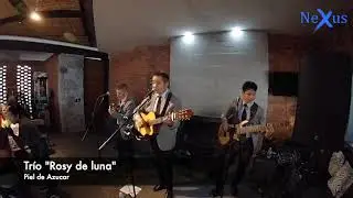 Nexus Musical - Tr&iacute;o Rosy de luna - Piel de Az&uacute;car