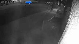 Fatal Hit-and-Run Leaves Skateboarder Dead     NR21245jc