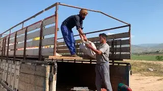 Nomadic Migration: Unloading a Whole Life from a Truck