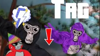 3rd gorilla tag vid for the series what do you think