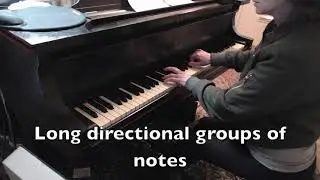 (HD) Piano Lesson:  Domenico Scarlatti Sonata in A Major, K. 208  (Back tempo learning)