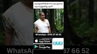 കിങ്ങിണി അമ്മൂമ്മ രക്ഷപ്പെട്ടു Part 2 #viralshorts #keralapsc #ldc2027