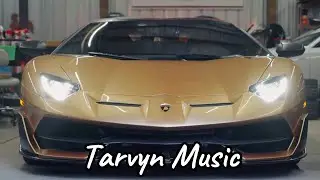 TARVYN - Mist Crave