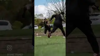 The Dawg Trainer Hand Combat Arms @ bigdawgtrainer.com