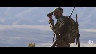 Red Stag in Heaven! - Andes Lodge with Pointer Outfitters