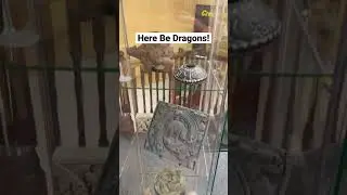 Here Be Dragons! #dragon #dinosaur #artifacts #display #viral