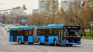 ЛиАЗ-6213.65 № 031310 Маршрут №774