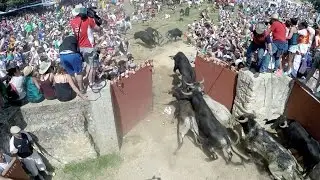 La Saca | Fiestas de San Juan 2016 Soria | Valonsadero-Vega