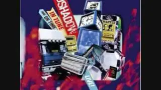Organ Donor - DJ Shadow