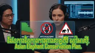 ផែនការនៃការការពារសត្វដំរី នៅអាស៊ី | Asian elephant conservation plan.