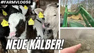 Die neuen Tiere sind da! K&auml;lber-TMR selber mischen 👨🏻&zwj;🍳 Farmvlog #56
