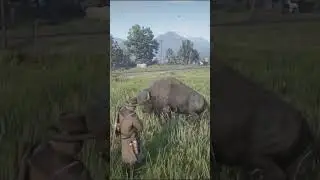 arthur vs big bison with lasso  #arthurmorgan #gaming #rdr2 #ytshort