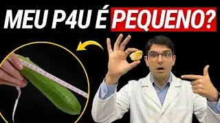 DESCUBRA se seu P@U tem o TAMANHO CERTO para SUA MULHER