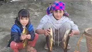 The beautiful girl drained the pond to catch fish, harvesting large carp to sell.