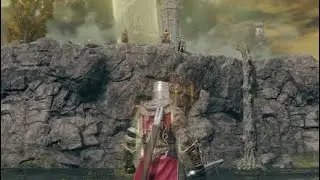 I Don't Know What To Call This | Elden Ring Invasions