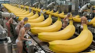 They Don't Want You To Know This Secret About Dried Bananas | How It's Made