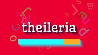 THEILERIA - How to say Theileria?