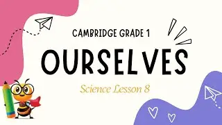 Урок естествознания для 1-го класса Кембриджа, 8 класс | Мы сами | Study Bee