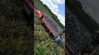 NUNCA DESISTA DOS SEUS SONHOS 🙏 Reforma da nossa F4000🌟