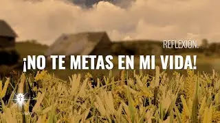NO TE METAS EN MI VIDA / REFLEXIÓN [ MORENA VISION ] / MV ORACIONES