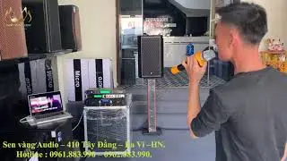 loa 4 Acoustic 112K Pro Germany - Sen v&agrave;ng audio &Acirc;m thanh số