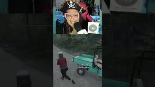 Ranch Sim Chaos Via Crowd Control