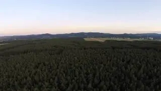foehrenwald_raw_vid