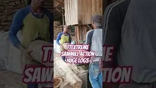 Extreme Sawmill Action Huge Logs #wood #woodworking #automobile #satisfying #2026 #viral