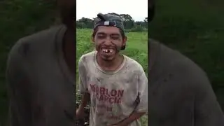 Un Saludo para toda la familia