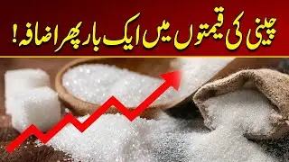 Sugar Prices Rise Again | Breaking News | City 21