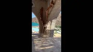 Discover the island of Ios in the Cycladic#cycladic #iosgreece #island #island #papasbeach #calilo