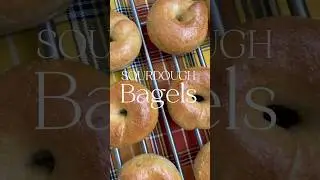 HOMEMADE SOURDOUGH BAGELS (RECIPE IN DESCRIPTION)  #sourdoughbread #fermentedbread #bagels #bread
