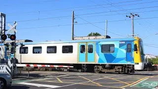 Metro Trains at the O'Hea Street Level Crossing