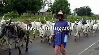 Raw Africa Exploration (Northern Nigeria), Part 2