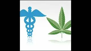 Q&A: ETHAN NADELMANN, DRUG POLICY ALLIANCE