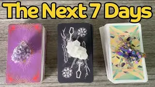 The Next 7 Days ✨ Weekly Tarot Pick A Card Reading ✨