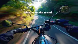 Forest, Curves, Sunlight= DOPAMINE | DJI Action 4 | Hunter 350 |4K pov