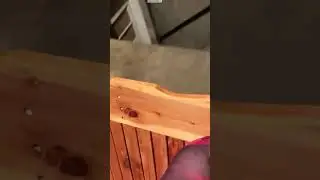 #palmbee on #Twitch | Cute swing