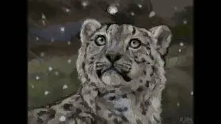 snow leopard 
