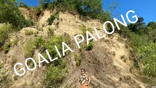 GOALIA PALONG