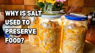 How Salt Actually Preserves Food: The Science of Osmosis